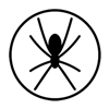 spider tracks logo